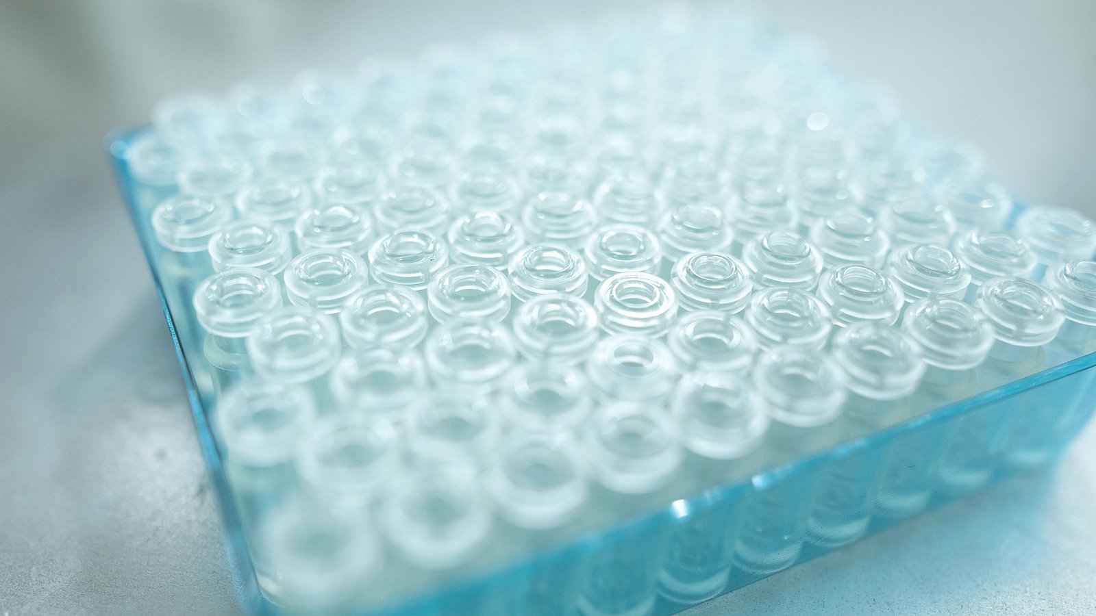 Lyophilized Vials